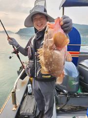 히트 사진