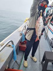 참돔낚시 타이라바조황 사진