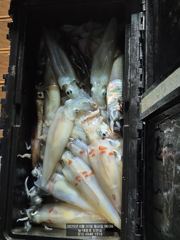30일 철수 조항 사진