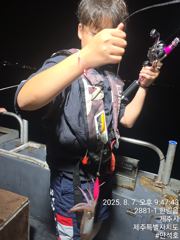 제주 만석호 7일 한치 낚시 체험  사진