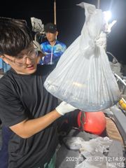 22일 제주 애월권  한치낚시 체험 사진