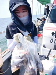 8/28일 부세 백조기 오늘도 꾸준히 잘나옵니다!!!!! 30일 자리여유 사진