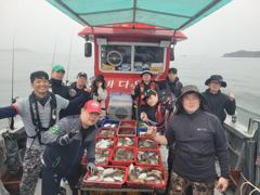 10월17일. 갑오징어조항 사진