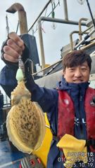 메가호0월19일갑오징어조황 사진