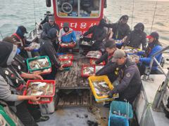 10월26일 갑오징어 대박조항 사진