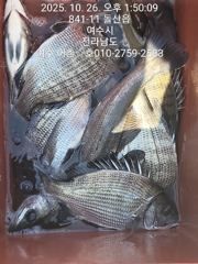 연일 대박행진이내요 사진