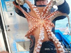 군산낚시프라자배 문어낚시 대회 우승 사진