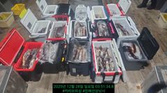 12월27일 출조후기 사진