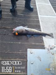 대구 사진
