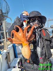 통영 문어 조황 사진
