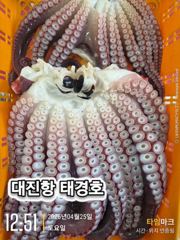 4월25일 대왕피문어 조항 올려 드립니다. 사진