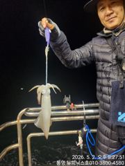5월3일 한치 먼바다 굿 조황 입니다 월요일 출조모집중 사진