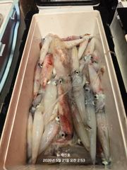 뉴 태진호  왕한치 전원100수~150수 초초대박만쿨조황!!!!! 사진