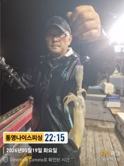 통영나이스피싱 !!! 연일 초대박 비교불가 100수항해 달려가봅니다 사진