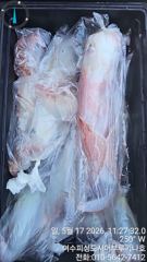 먼바다 한치 일요일 자리여유 기상좋습니다.여수피싱도시어부 16석루키나호. 사진