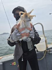 5/24일 봄 갑오징어 소수인원 출조조황!!! 사진