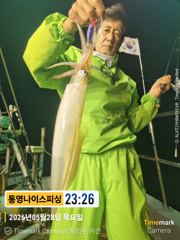 통영나이스피싱!! 왕한치 오늘 200수  도전   몇자리여유 사진