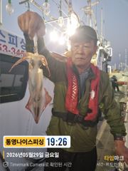 통영나이스피싱  왕!왕한치  콧물없이 중치급들이 오늘자리여유 사진