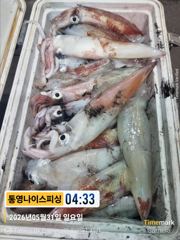 통영나이스피싱!!! 첫풍 이동후 굵은 왕한치들이들이 쭉 쭉 힘팍팍써네요  내일자리여유 사진