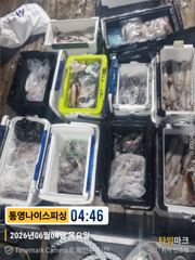 통영나이스피싱!!  엄청난 굵은 방망이 들로 쿨러  꽉 차네오 오늘자리여유 사진
