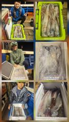 한치 대포알급 야구빳따 싸이즈 나오고 있습니다    화요일 7자리여유   세자리수  도전    대포알급 묵직한 손맛 즐기실분들 미리미리 연락주세요 