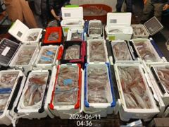 아쿠아호 괴물야리!200수200수 조대박!먹물칠갑!월욜부터 자리여유