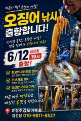 오징어낚시 19시출항 합니다. 사진