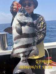 [제주 깊은바당호] 6월 11일 돌돔 조황입니다 사진