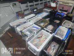 쌍걸이 미사일[한치~한치]12일입항 오늘은 요만큼[월요일부터]예약가능 사진