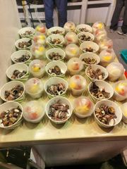 6월13일 한치 한가득 입항조황입니다.일요일 자리여유 사진