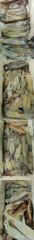 [거제블루]거제권한치 오늘만같아라 1인2쿨러 세자리수는 기본// 수목 예약가능~~ 사진