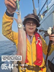 [실시간] 한치.미친피딩.막.올라오내요 (월.화.수 출항)