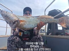 6,12일 올해 첫 메타민어가 드디어 나왔습니다. 사진