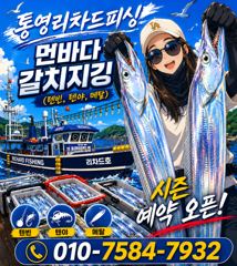 6/15 한치 입항조황입니다 ~ 통영권 한치입성~ 수,목요일 소수인원 출항합니다~ 사진