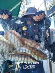 6월16일-대물 갑오징어 오늘도 잘 나오네요 굿