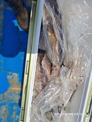 대구  사진