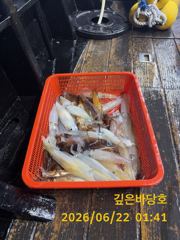 [제주 깊은바당호] 6월 21일 돌돔 한치 조황입니다 사진
