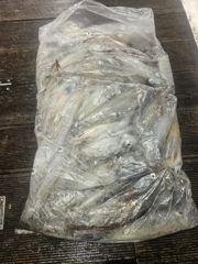6월25일 제주쎄븐호 한치조황 사진