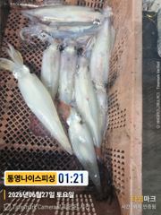 통영나이스피싱!!! 수심25  지켜 사진