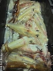 왕한치늦은피~딩먹물잔치전원65수~30수손맛굿~~