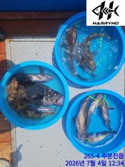 강릉 해리호 7월04일 락피싱 조황 조식 사진