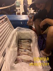 [제주 깊은바당호] 7월 6일 한치 조황입니다 사진