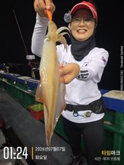 친구야기자호))한치 한치신나는 한치낚시입니다. 목.금.토.일 문어 갑니다. 010-7443-7990  사진