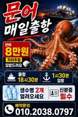 문어!! 대박입니다 먹물폭탄!!