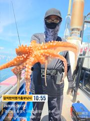 대빵 키로급 돌문어 정말 씨알급만 사진