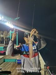 대포급 왕 한치 먹물 폭탄 세자리수 한치 쿨러조황 목요일부터 출항 자리여유많음 사진