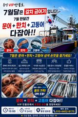 통영VIP만물호 문어+한치+고등어 다잡아!! 사진