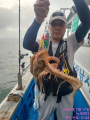 문어다녀왔읍니다 사진