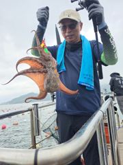 대구리 문어 꾸준히 사진