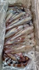 한치 소수의 꾼님들과 함께~화,수,목~문어 금,토~예약가능  사진